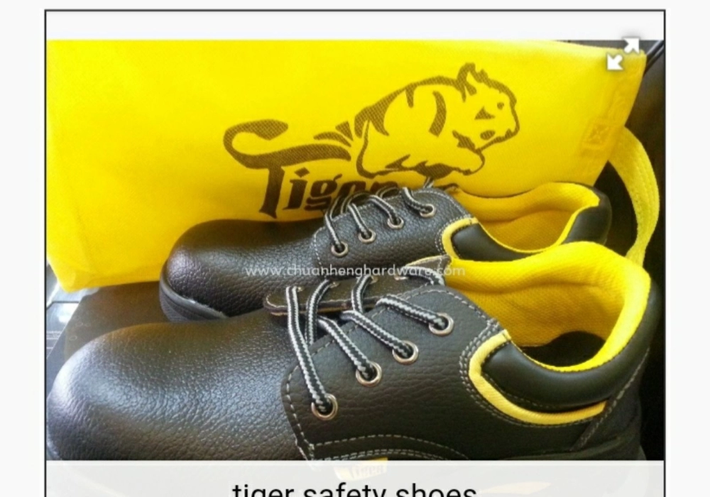 Tiger safety shoes