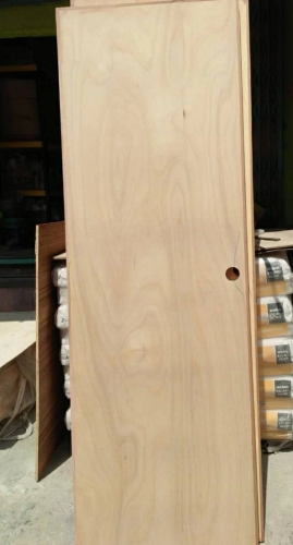 plywood  door  