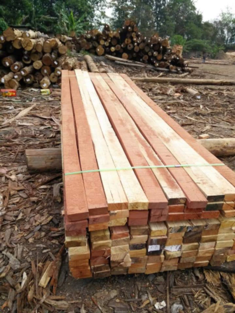 2x3 timber 
