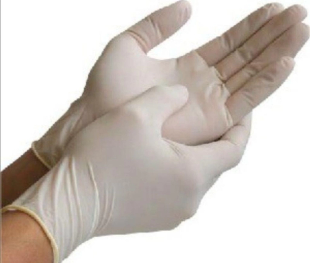 Latex Gloves 