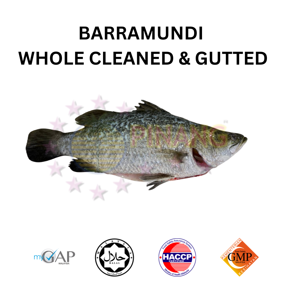 PINANG Brand Barramundi Whole Cleaned (MyGAP Certified)
