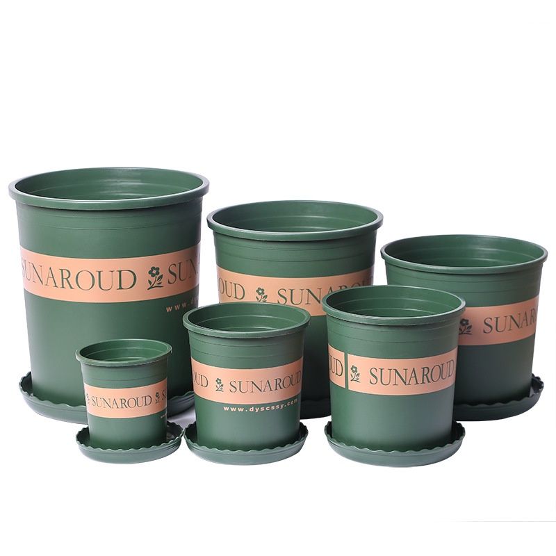 flower pot