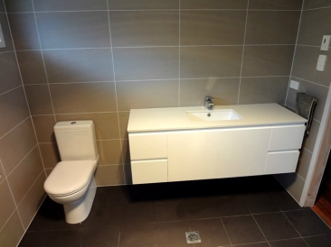 Toilet Renovation