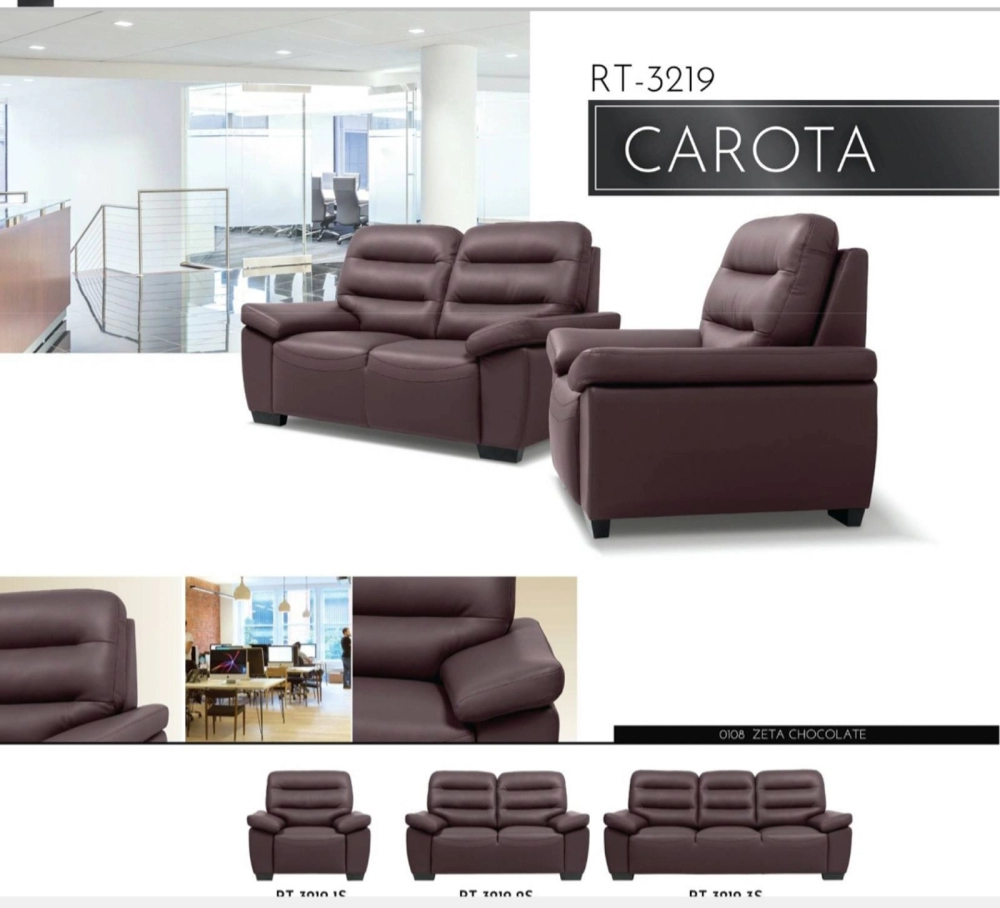 CAROTA RT-3219