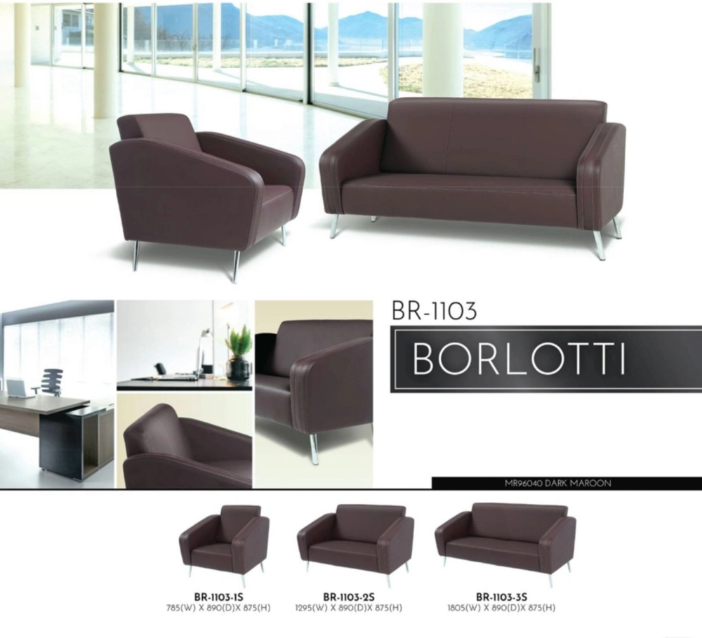 BORLOTTI SN-1105