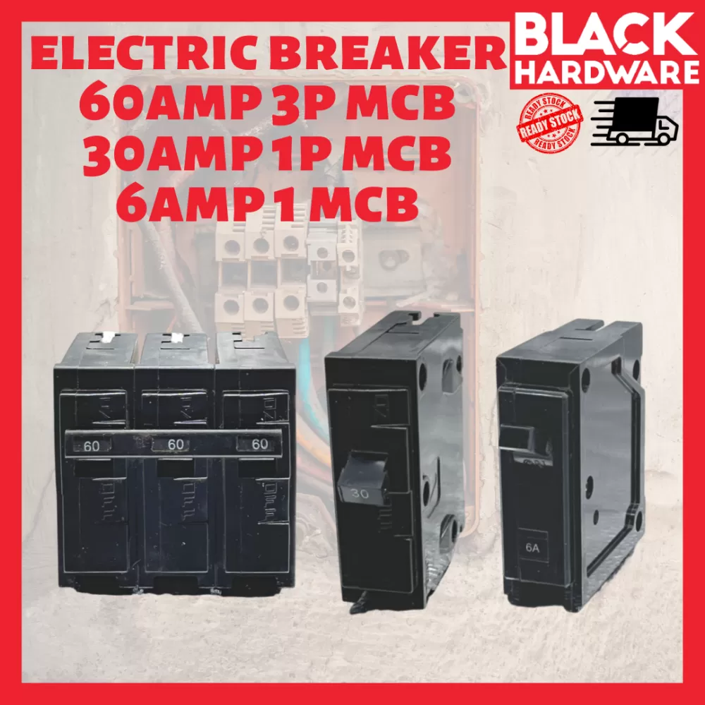 ELECTRIC BREAKER 60 30 6 AMP 3 1 P