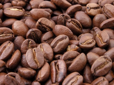 Arabica/Robusta/Blended