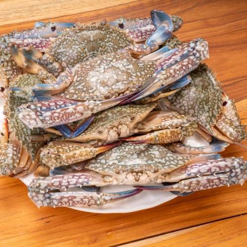 Crab