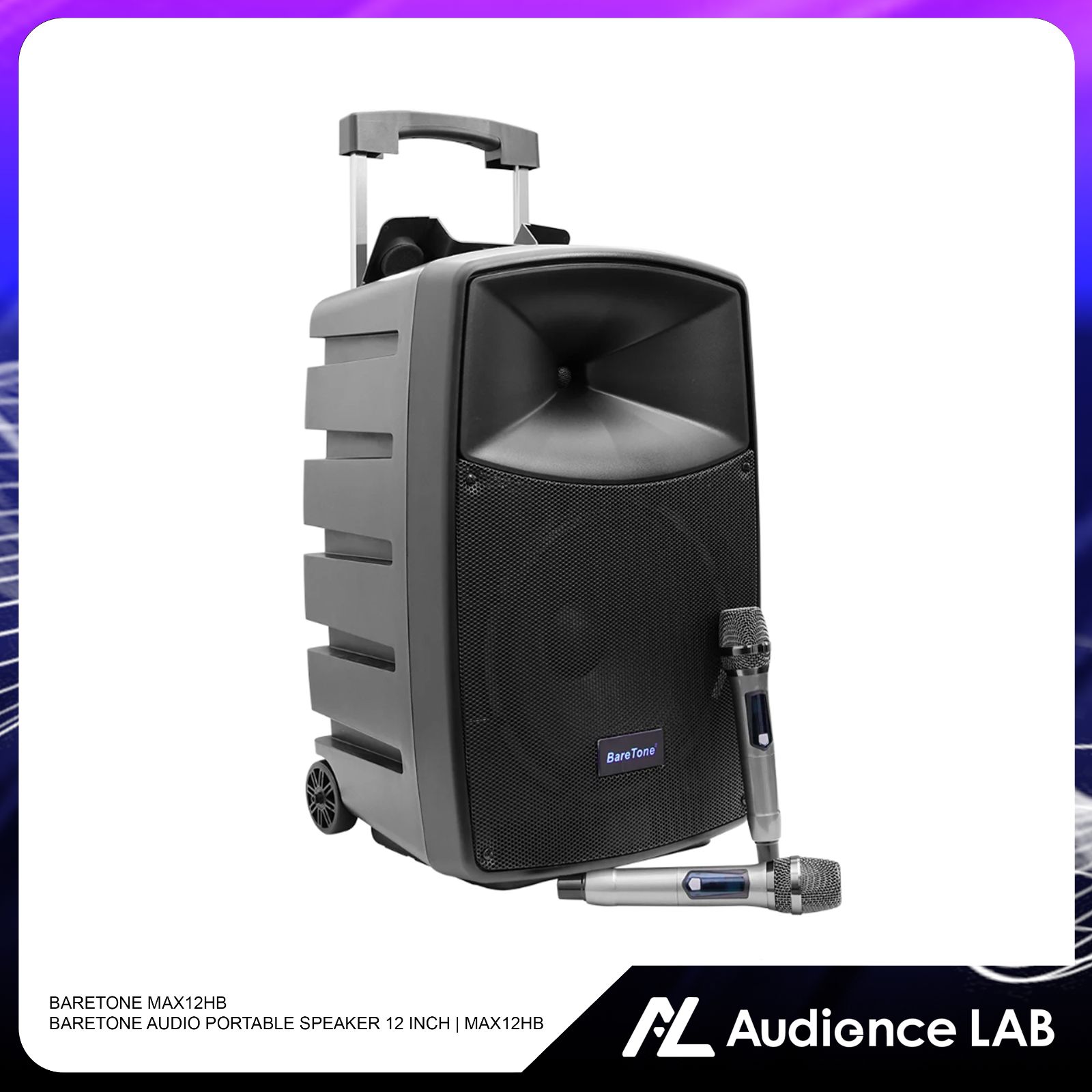BARETONE MAX12HB BARETONE AUDIO PORTABLE SPEAKER 12 INCH | MAX12HB