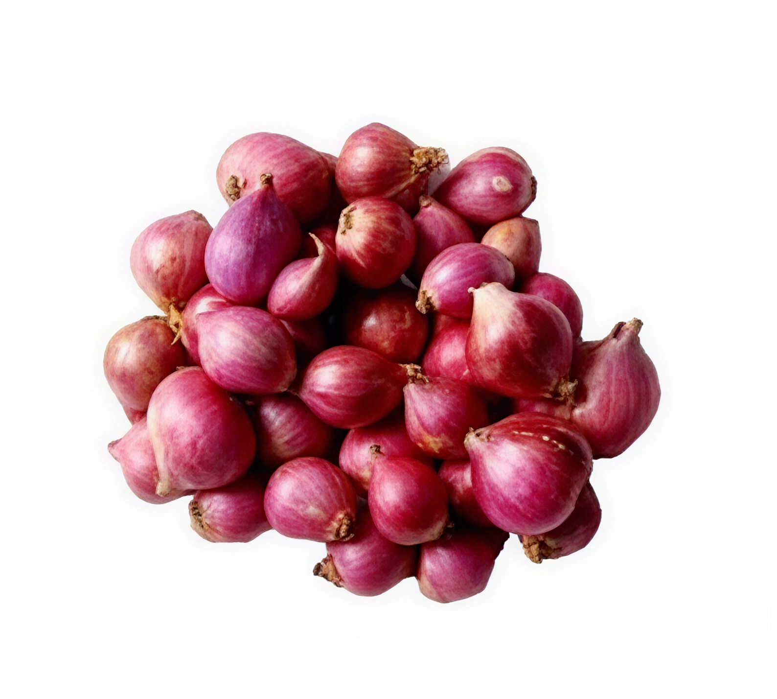 Bawang Rose