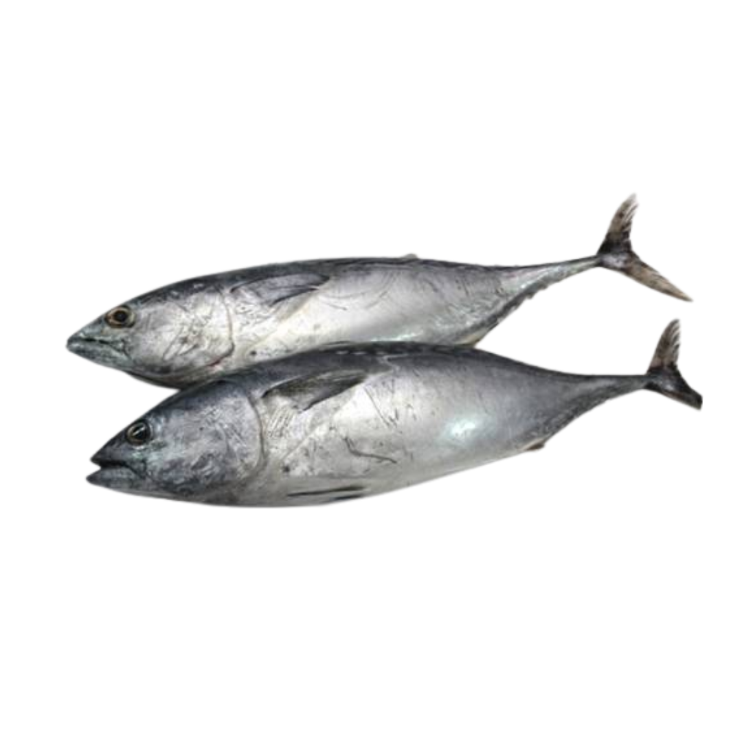 Frozen White Tuna Supplier Malaysia | Cheong Vege