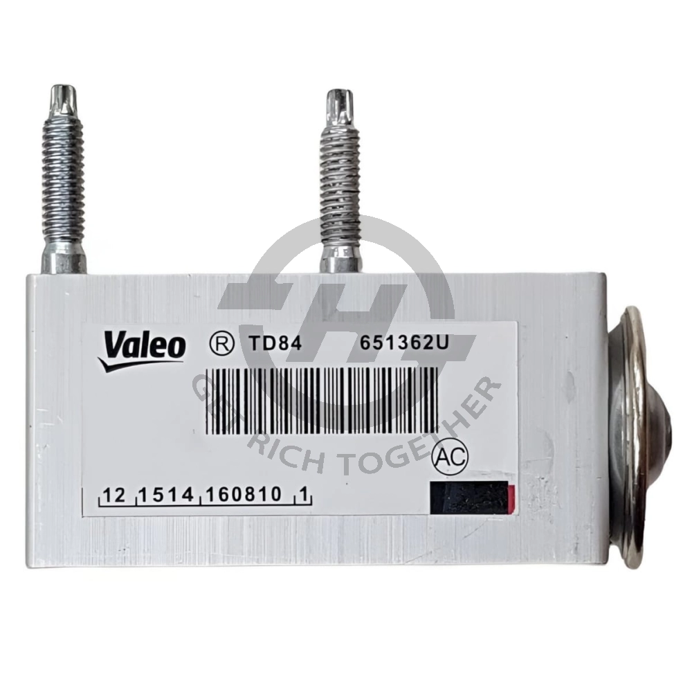 PEUGEOT 208 308 408 EXPANSION VALVE VALEO 770120876 669732 6461L9