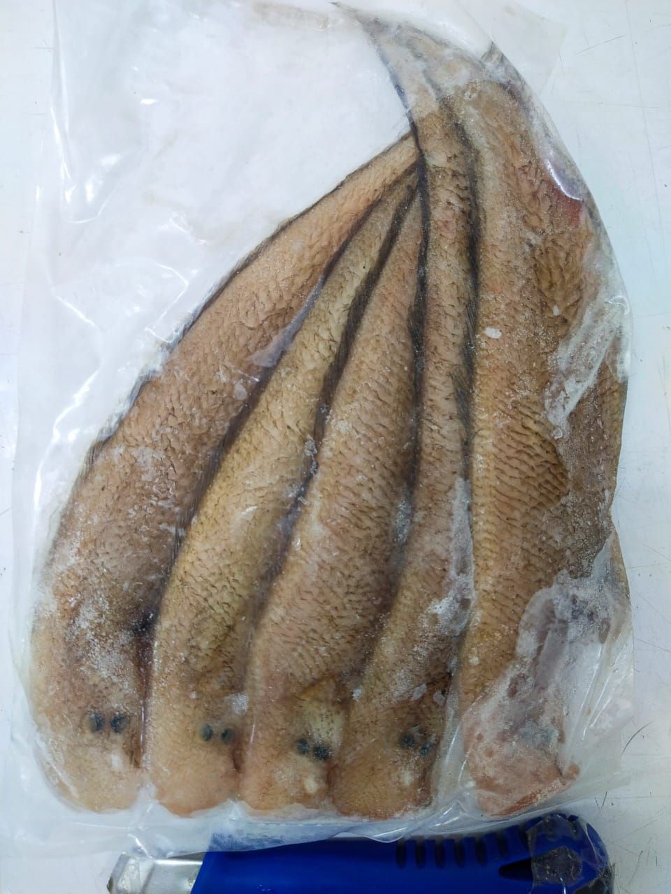 Ikan Lidah Cleaned