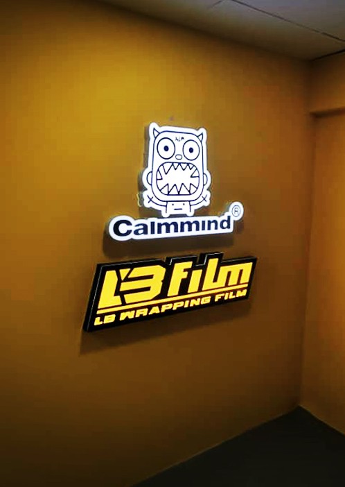 LED Conceal Box Up