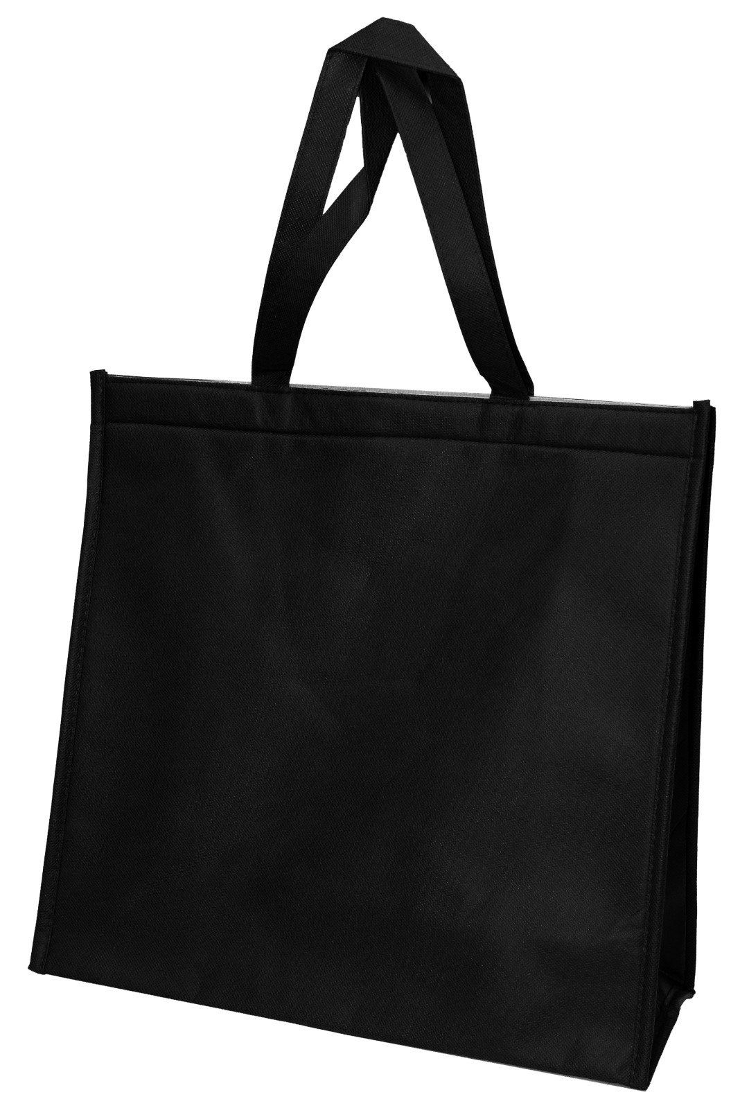 COOLER & WARMER BAG CWB-101RAY