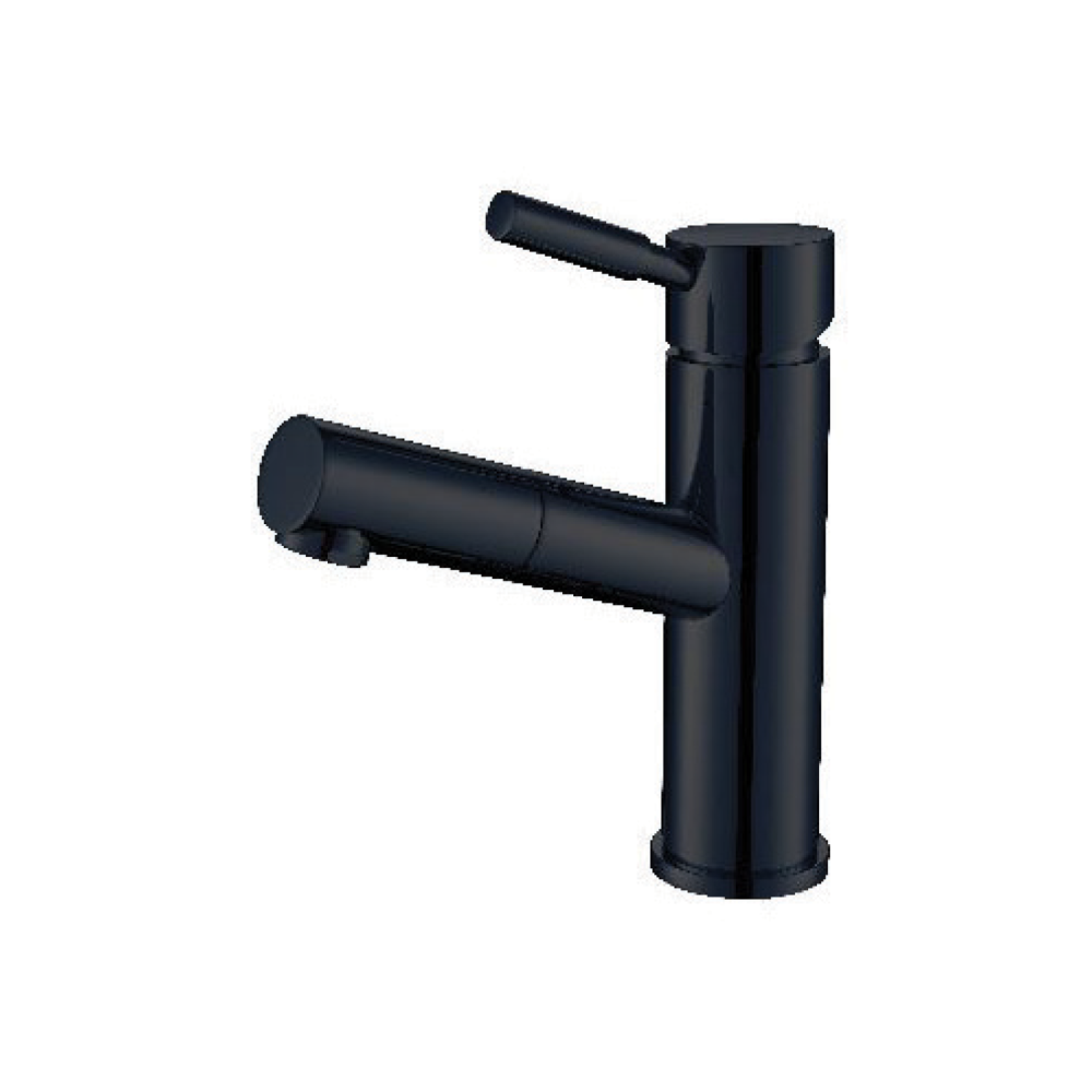 Pull-out Sink Tap #DWT907