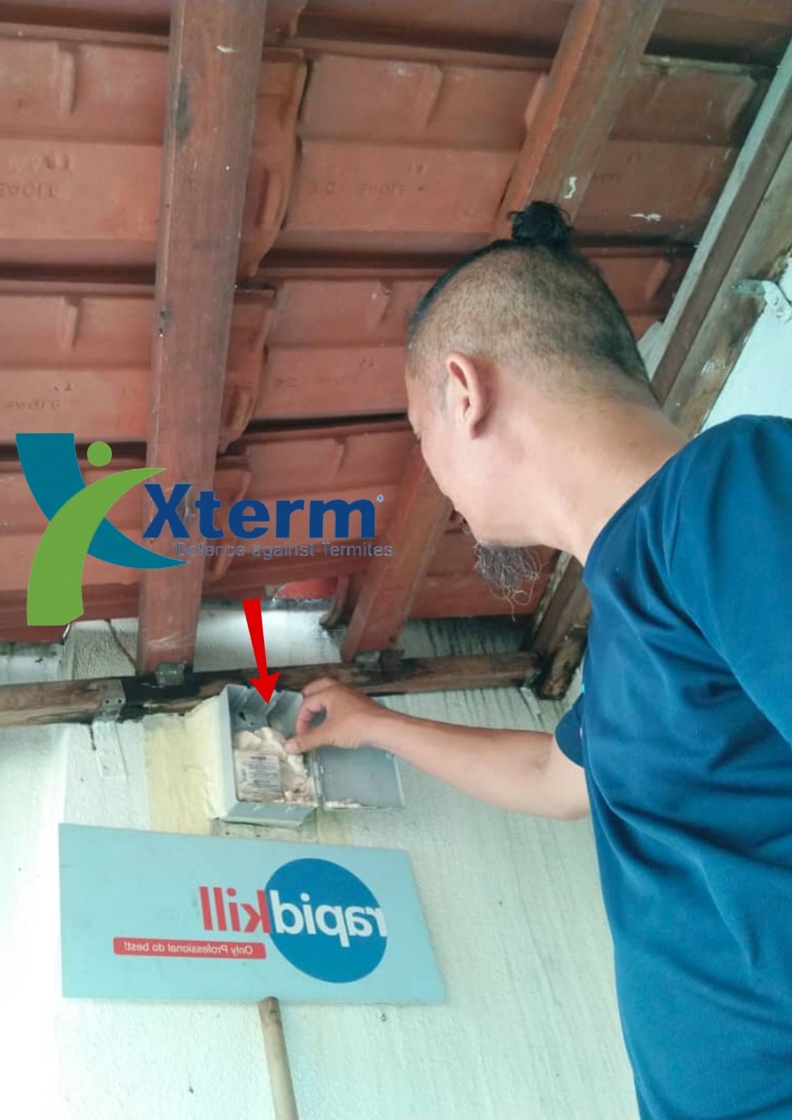 Xterm Baiting System - Ampang