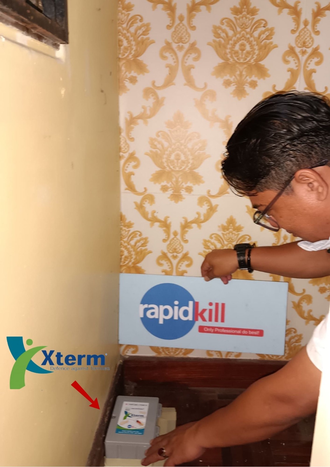 Xterm Baiting System — Bangi