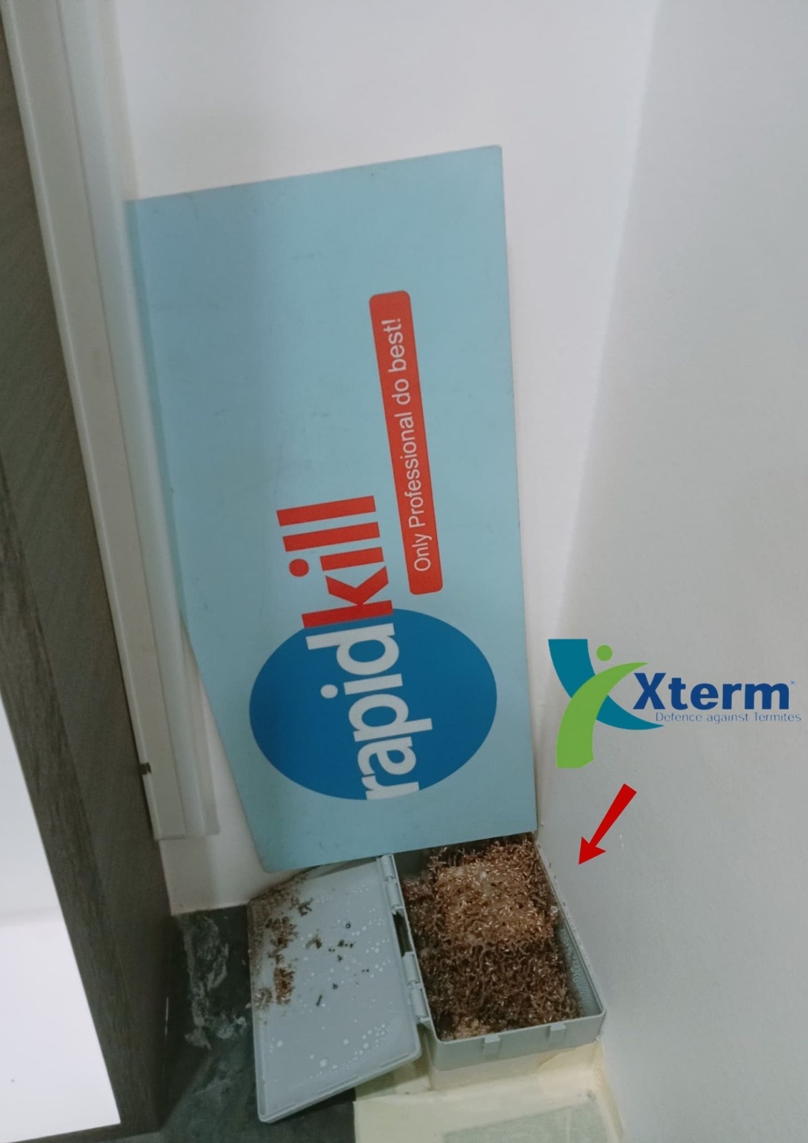 Xterm Baiting System - Banting
