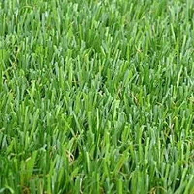Football Thiolon Fibrillated Turf | Bronze Series