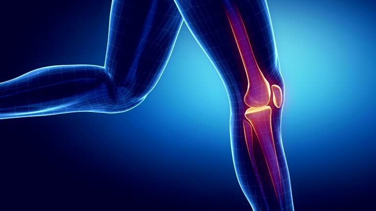 Understanding Knee Ligament Injuries