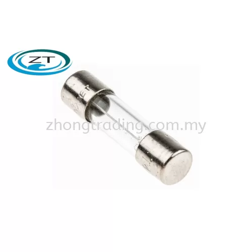 20mm 4A Fuse