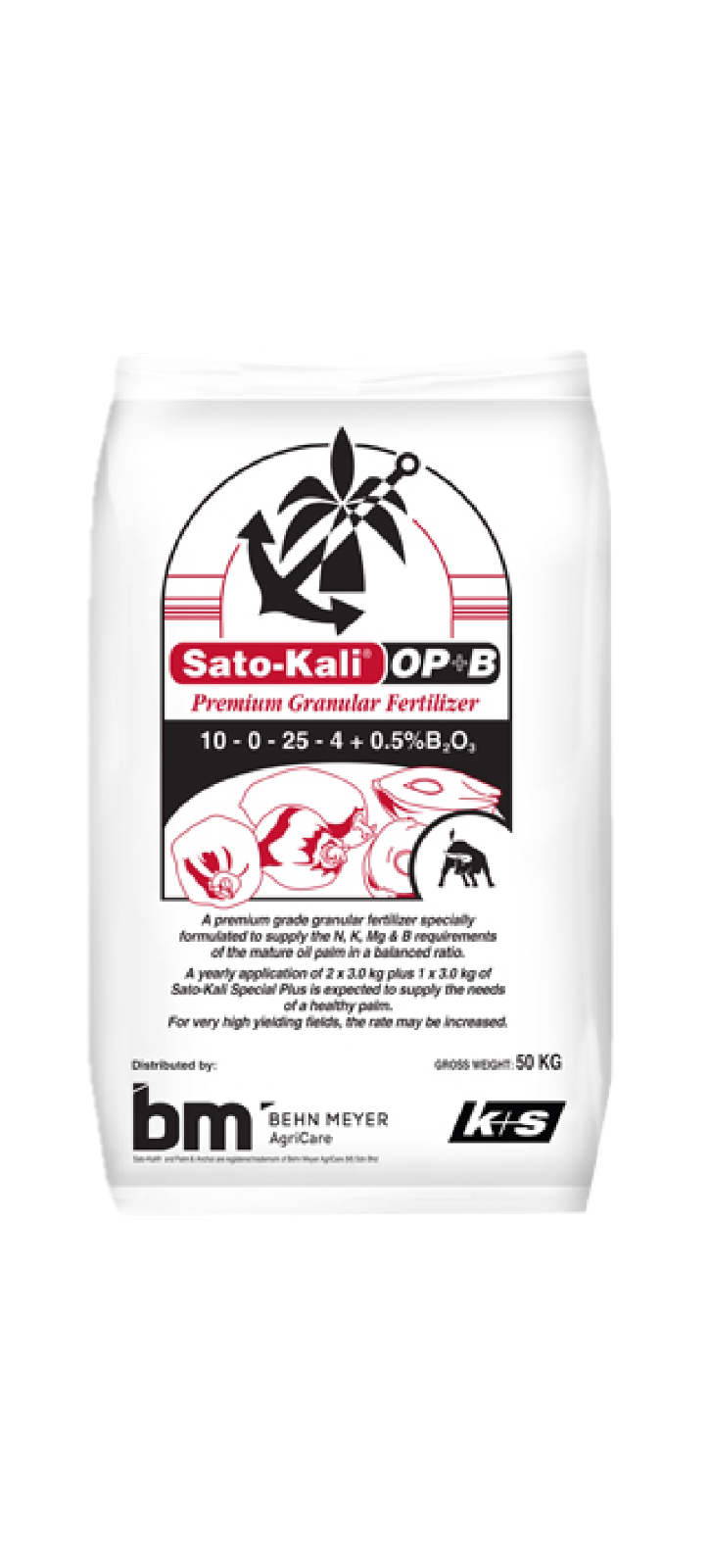 Baja Sebatian