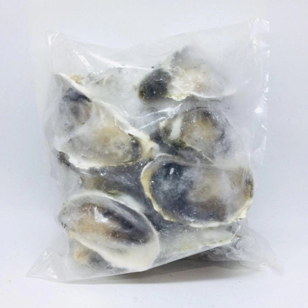 Frozen Half Shell Oyster 半殼生蠔 12pcs