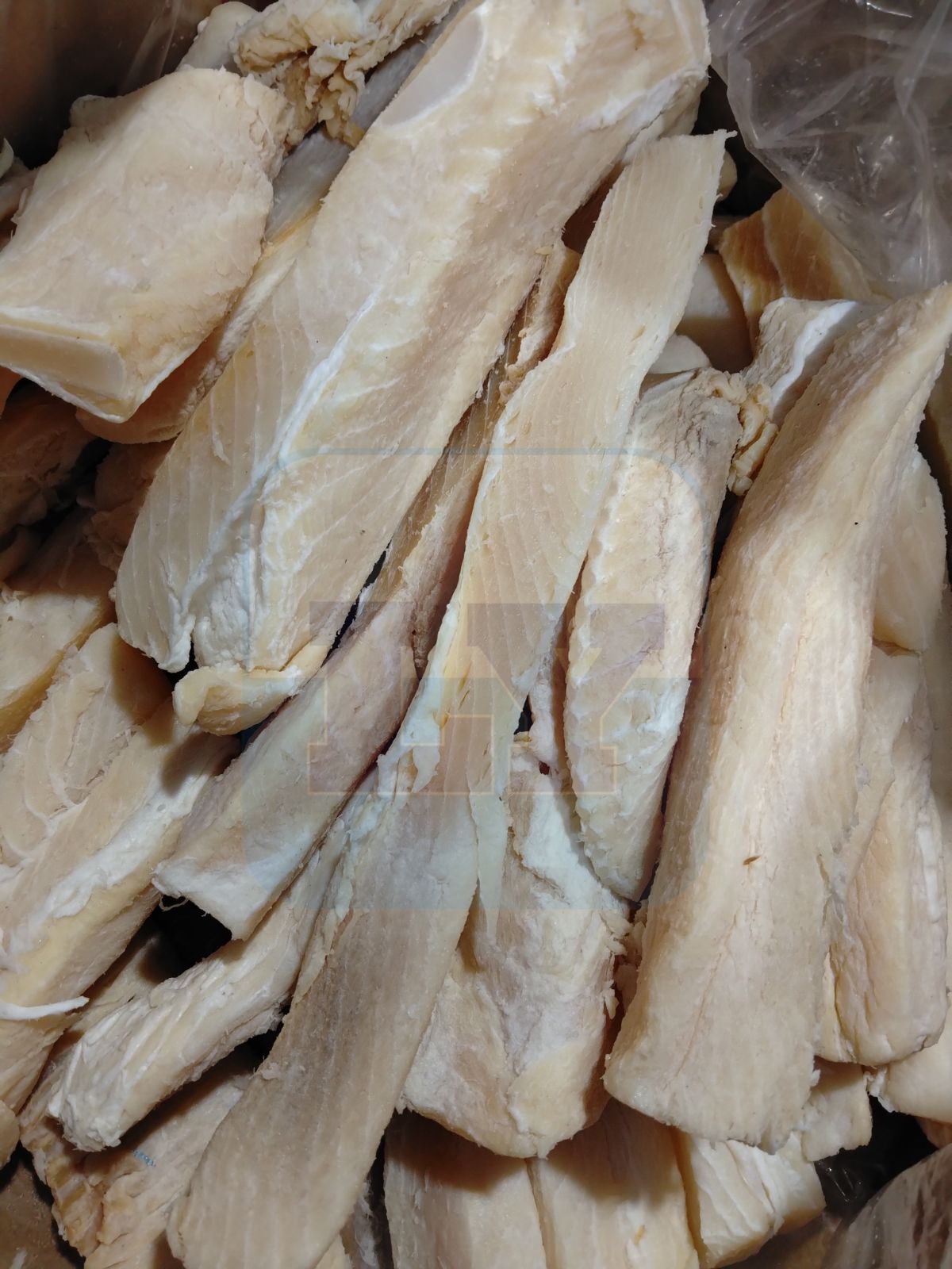 Ikan Masin Yu 鲨鱼肉