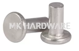 SOLID RIVET ( FLAT )