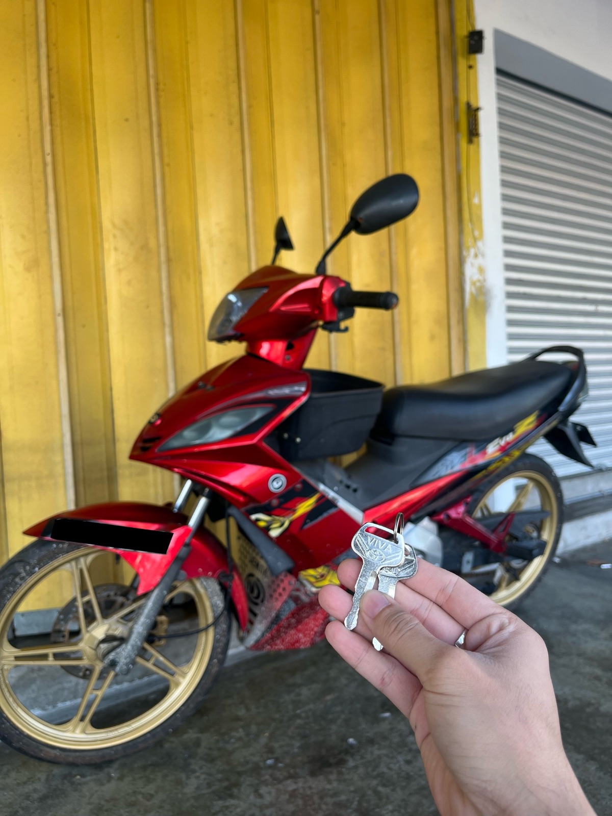 Demak Evo X 110