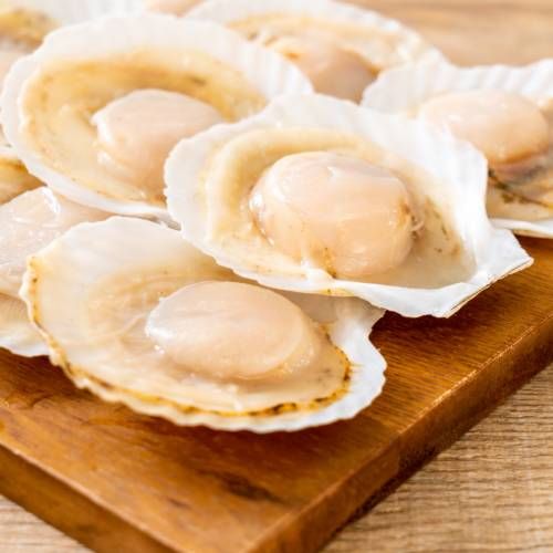 Frozen Scallop