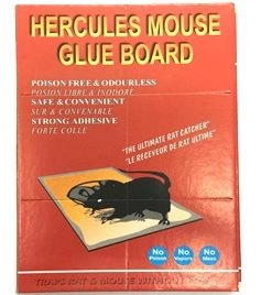 13UA  (MOUSE BOARD - GLUE)