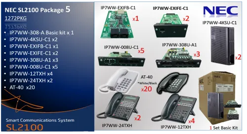 NEC SL2100 Package 5