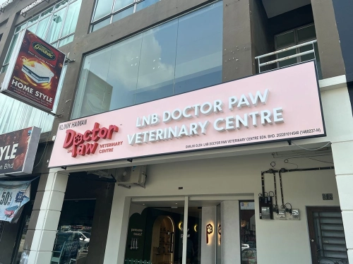 Doctor Paw