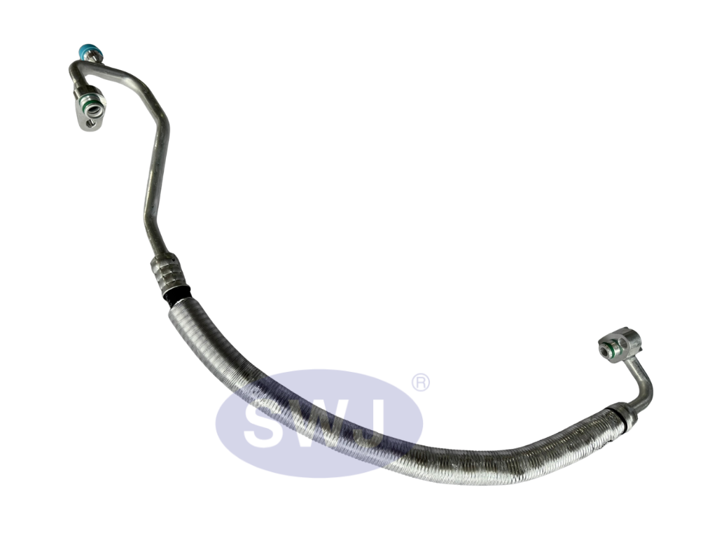 Pro.Exora Pat 1/2 [SWJ-H-062]