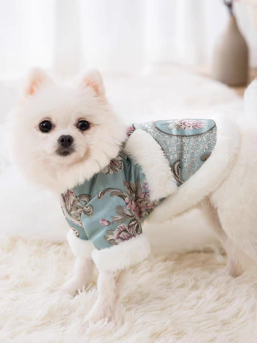 Pet Cloth New year Cloth Pet Princess CNY Clothes Wedding Dress Baju Kucing 宠物旗袍 狗狗清朝衣服 狗狗过年服装 宠物新年服装