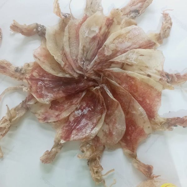 Dried Squid with Head