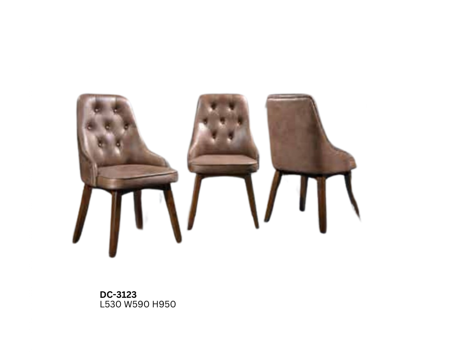 DINING CHAIR (PLZ DC-3123)