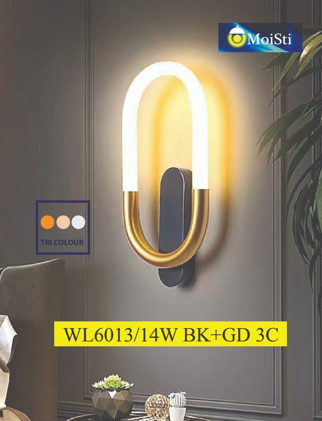 WL6013
