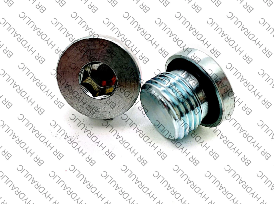 PLUG VSTI-BSP-SMR-MM
