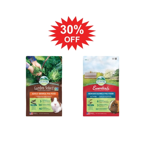 Special Promotion - Guinea Pig Food