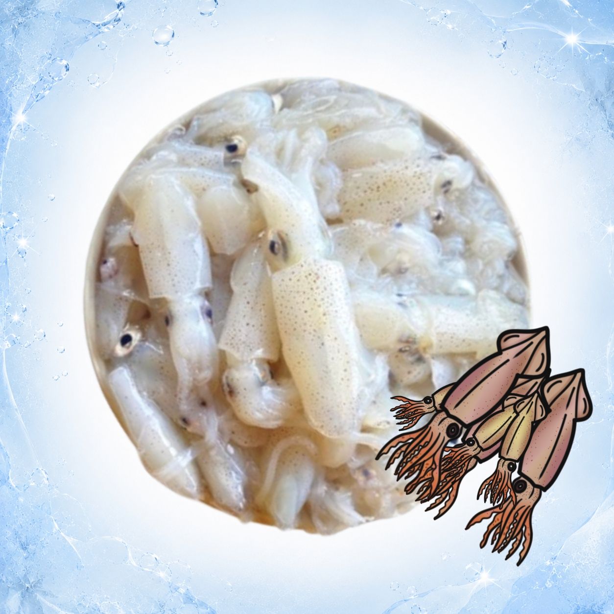 Frozen Baby Squid