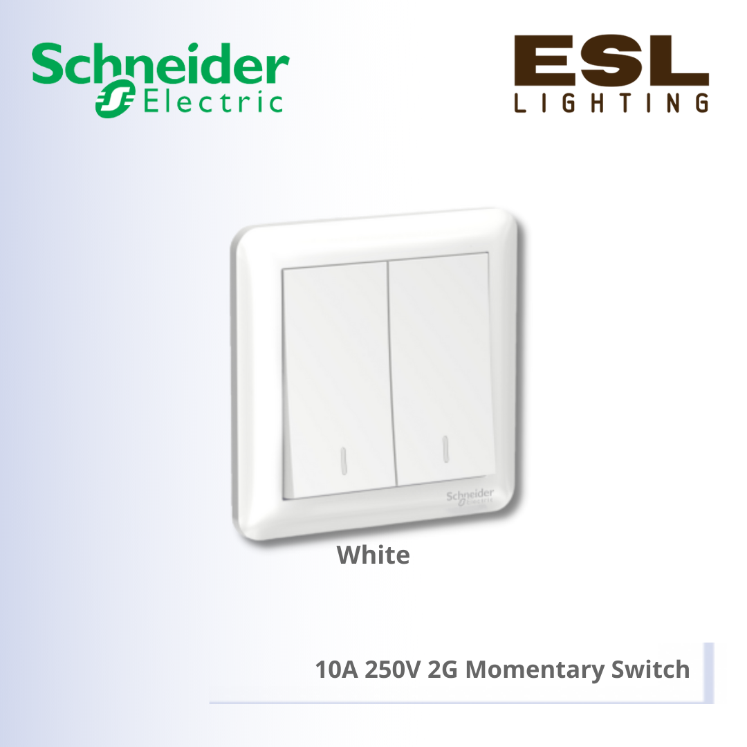 SCHNEIDER Affle Plus 10A 250V 2 Gang Momentary Switch - A3G32PB_WE_G11