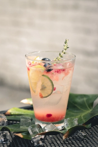 Grapefruit Plum Fizz