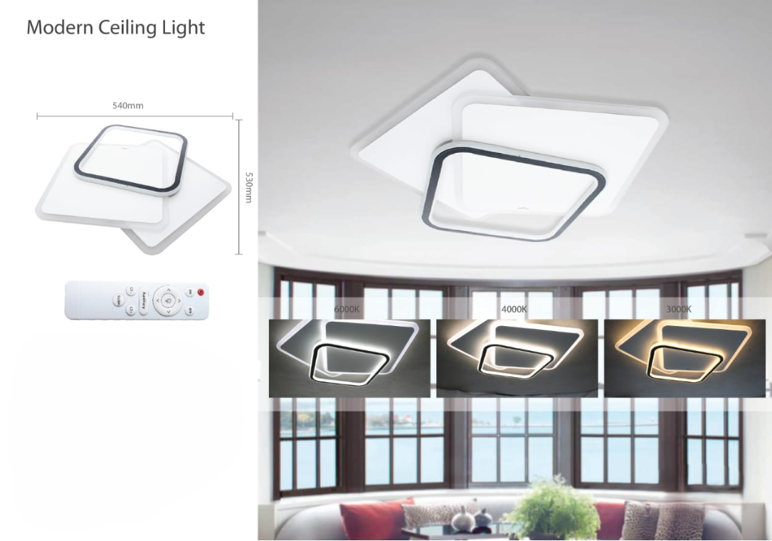 Modern Ceiling Light