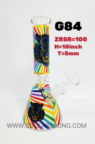 G84 