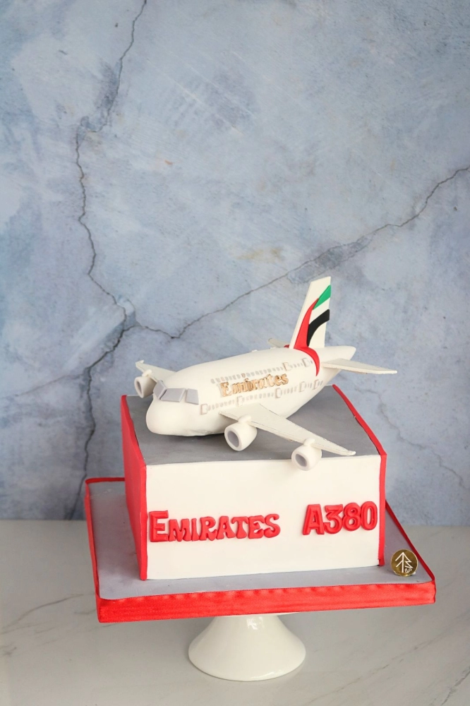 Emirate Airline Aeroplane Cake