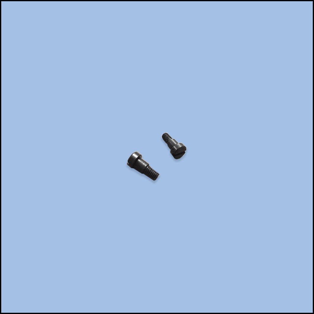 SCREW (84-1710-0)