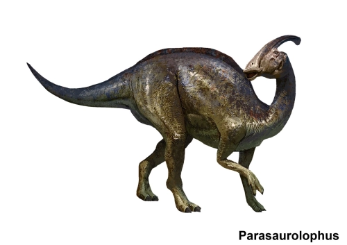 Parasaurolophus